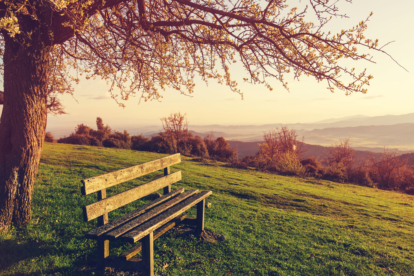 Walking with Anxiety-Tips for Managing Day to Day