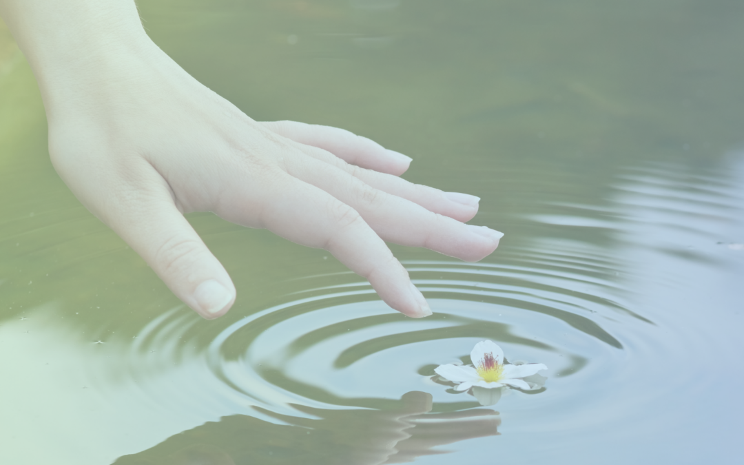 Spreading Your Ripple of Kindness and Gratitude: Healing Your Broken Heart Through Acts of Compassion