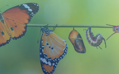 Gratitude Practices for Grief and Loss