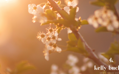 Letting Go to Grow: Why Releasing is Essential for Renewal
