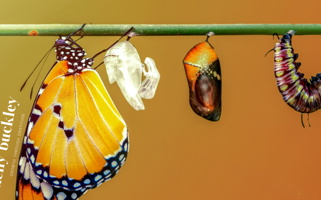 Small Steps, Big Changes: The Power of Incremental Renewal