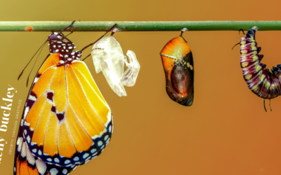 Small Steps, Big Changes: The Power of Incremental Renewal