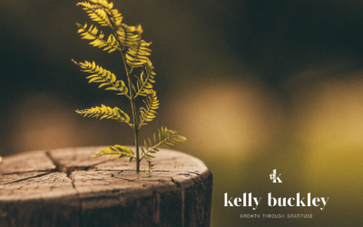 Embracing Renewal Beyond Spring: A Mindset for Life