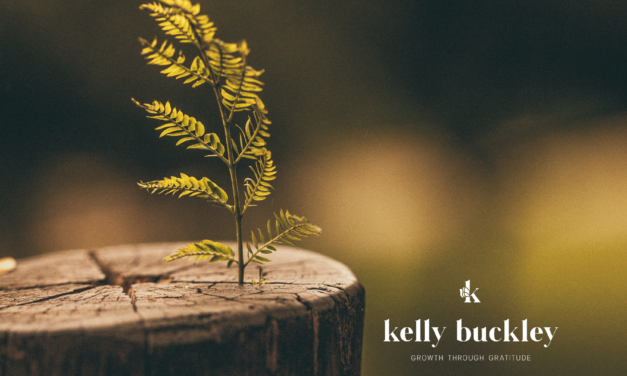 Embracing Renewal Beyond Spring: A Mindset for Life